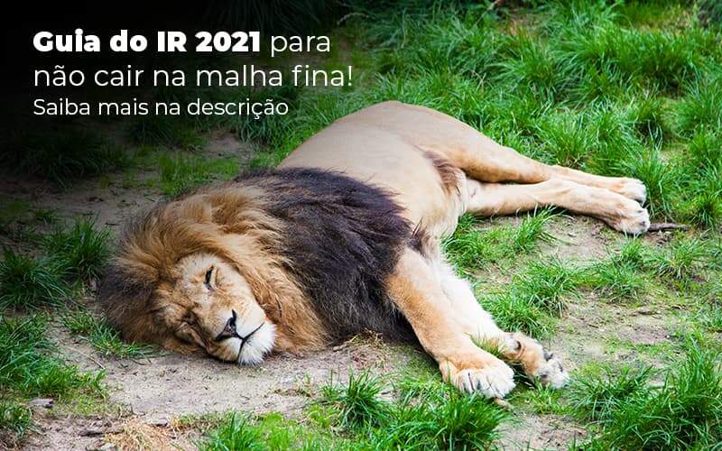 Guia Ir 2021 Para Nao Cair Na Malha Fina Saiba Mais Na Descricao Post (1) - Quero montar uma empresa - IR 2021 – o que é preciso saber sobre?